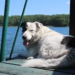 Stary Mlyn Гостевой дом