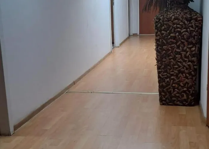 招待所 Stary Mlyn *